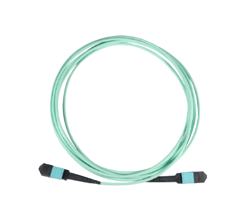 MPO-MPO 10 Gigabit Optische Jumper Datacenter Stroomverdeling Accessoire